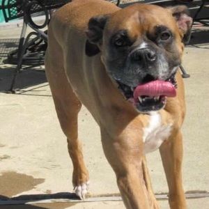 Meet your Posher, Katrina